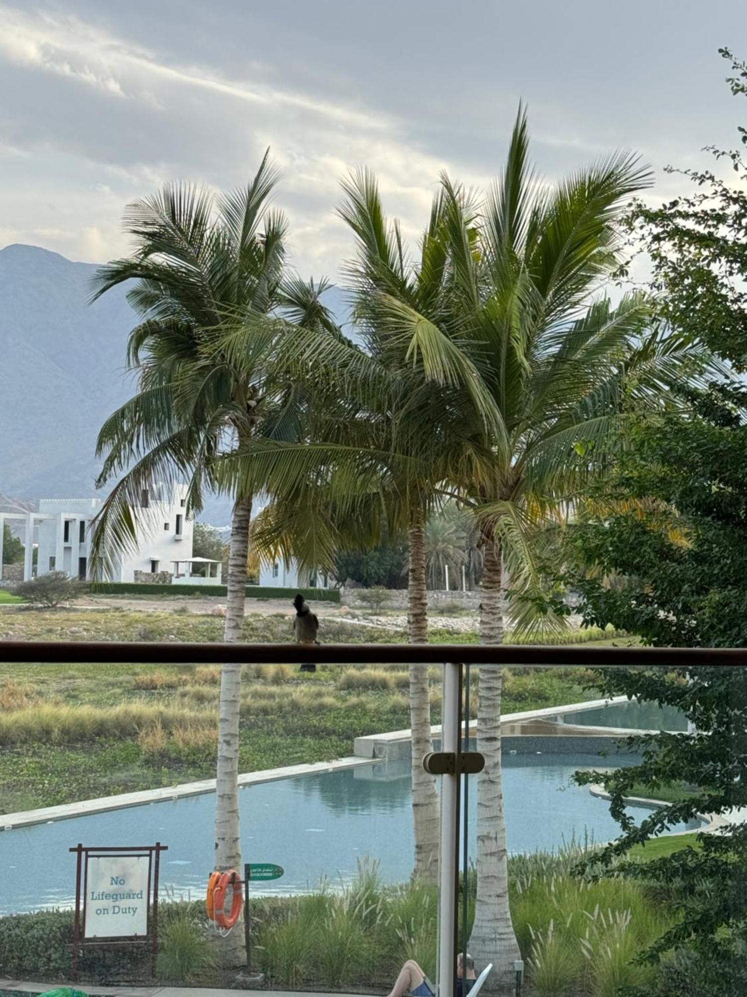 Appartamento The Vibez Luxury Sifah